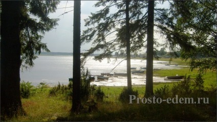 Kenozersky Nemzeti Park fotók és véleménye a többi Vershinin csak