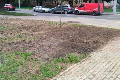 Moscheea comună a pus gazonul în jos