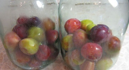 Compot de prune pentru rețetele de iarnă pentru prepararea unui vas de 3 litri cu semințe, fără sterilizare