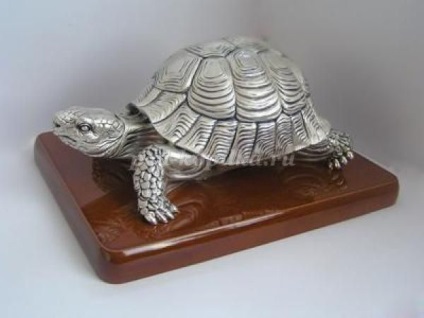 Sinteza unei lecții educaționale pentru copiii cu vârste cuprinse între 5 și 7 ani pe tema unei broaște țestoase
