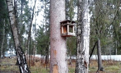 Cottage Village Radost lakókocsi neodacha XXI század - nyaraló falu a külvárosokban