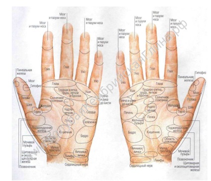 Comprese medicale cu lut albastru cambrian - pinteni, calusi, inmoaie pielea picioarelor ...