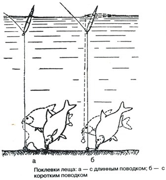 Dévér télen és nyáron