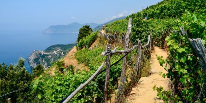 Manarola atracții din Italia, hoteluri, drum de dragoste, cum să ajungi acolo