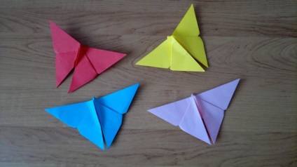 Master-clasa pe origami 