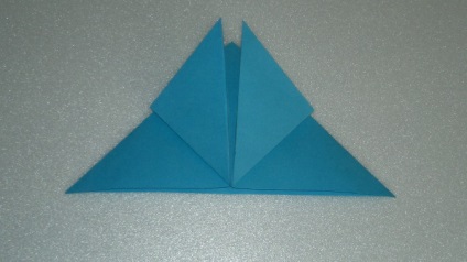 Master-clasa pe origami 