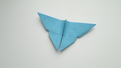 Master-clasa pe origami 