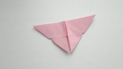 Master-clasa pe origami 