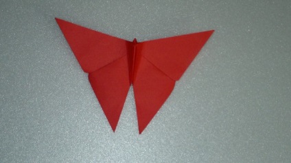 Master-clasa pe origami 