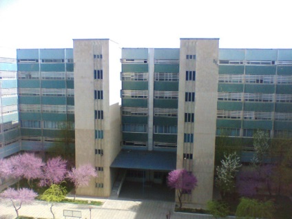 Universitatea universitară din Uzbekistan, VUZblog