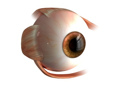 Mt a orbitelor ochiului și a nervilor optici - indicații pentru diagnostic