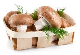 Câteva sfaturi pentru ciuperci cum să caute ciuperci în mod corespunzător