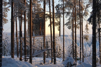 Fancy szállodák - Treehotel Hotel - Hotelek Svédország