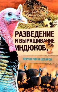Novocherkassk porumbei cu coadă neagră