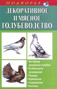 Novocherkassk porumbei cu coadă neagră