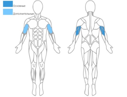 Reverse dumbbell presă video și fotografii exerciții