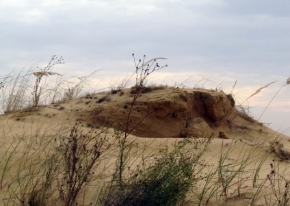 Oleshkovskie nisipuri deșert unic în Ucraina, lumea aventurii