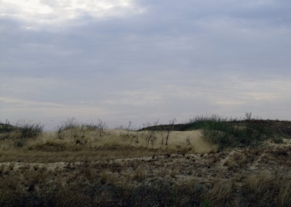 Oleshkovskie nisipuri deșert unic în Ucraina, lumea aventurii