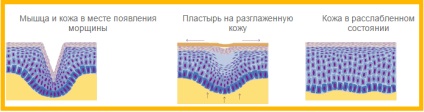 Reîntinerire mască de față cu tencuială