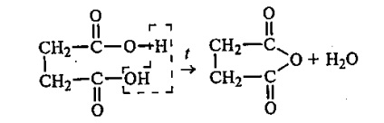 Tapasztalat 31