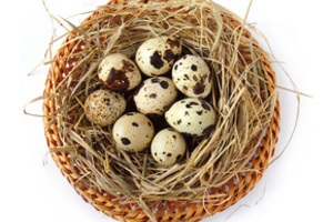 Despre beneficiile ouălor de prepelite