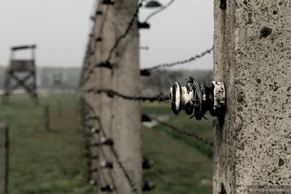 Auschwitz, un sfat de la dmitry_s turistice