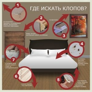 În cazul în care bug-uri în apartament provoca și semne de apariția de sânge sutiene pat