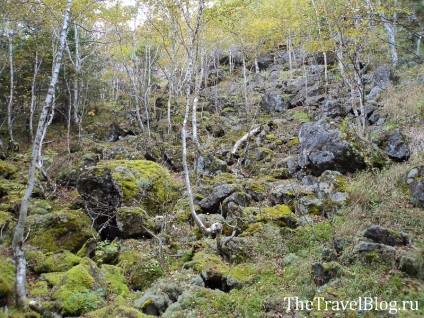 Visszajelzés hegyi juhar és Alekszejev Falls, Primor, thetravelblog