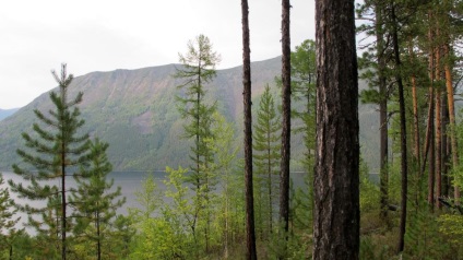 Lake Frolikha fotografie, vacanta, recenzii, pescuit