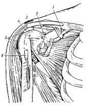 Umflarea anatomiei periartritei și a anatomiei patologice