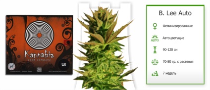 Selectarea soiurilor de marijuana pentru incepatori