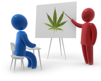 Selectarea soiurilor de marijuana pentru incepatori