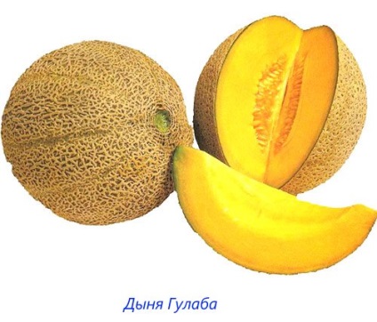 Populare printre locuitorii casei de calități de pepene galben