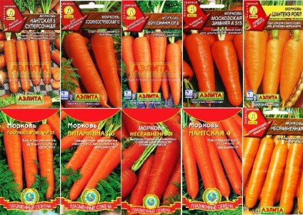 Plantarea morcovilor pentru paturile de iarnă, selecția soiurilor, semințele de însămânțare