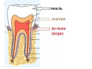 A különböző típusú (nyaki, radikális, stb.) Gyermekek és felnőttek esetében kialakuló kórokozók okai