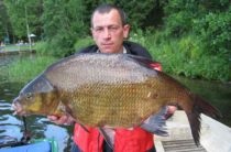 Momeală pentru bream pe cont propriu, momeală pentru bream în primăvară