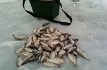 Momeală pentru bream pe cont propriu, momeală pentru bream în primăvară