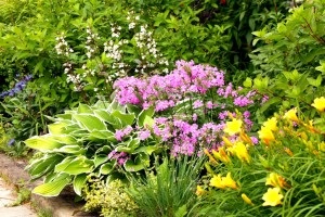 kert létrehozása elvek pihenésre, hogy hozzon létre egy szép kert