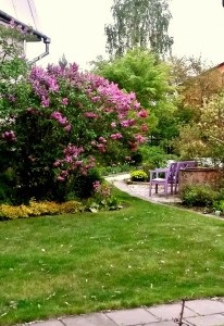 kert létrehozása elvek pihenésre, hogy hozzon létre egy szép kert