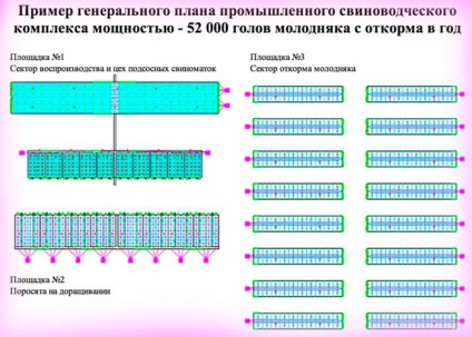 Proiectarea construcției și reconstrucției complexelor de porc (complexe de creștere a porcilor) și