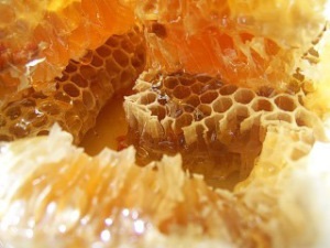 Propolis népi receptek