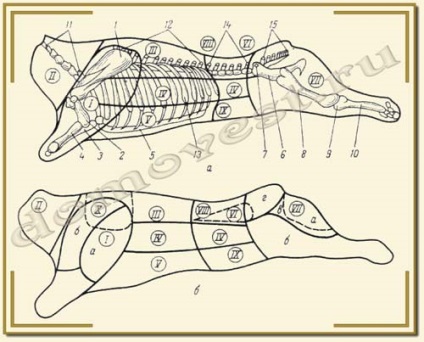 Tăierea carcaselor de bovine mari - carne de vită, împărțirea carcaselor în tăieturi