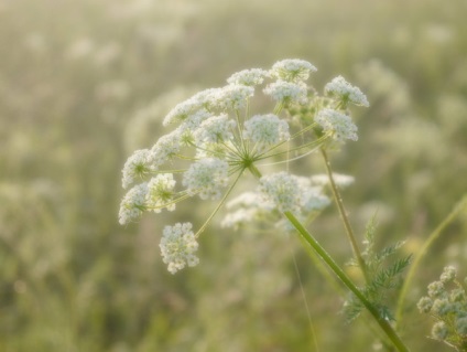 Moduri de fotografiere și caracteristici avansate panasonic lumix dmc-gf6