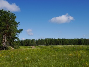 Moduri de fotografiere și caracteristici avansate panasonic lumix dmc-gf6