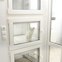 Leziunile resorptive la pisici - Clinica veterinară Vesta