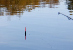 Pescuitul pe linie cu o tijă de pescuit plutitoare, atașare și manipulare, momeală și momeală