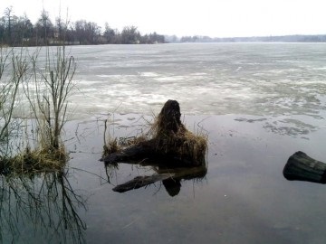 Pescuitul în lacuri pe lacurile Suzdal este un sport de agrement și pescuit de agrement în mijlocul orașului St. Petersburg