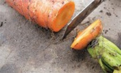 Tăiați capetele de morcovi sau o nouă modalitate de a depozita morcovi! Plante - Legume și fructe