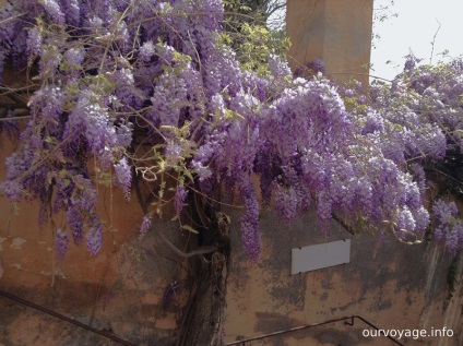 Grădinile din Generalife