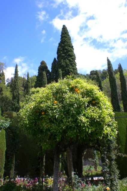 Grădinile din Generalife din Granada, Spania (30 fotografii)
